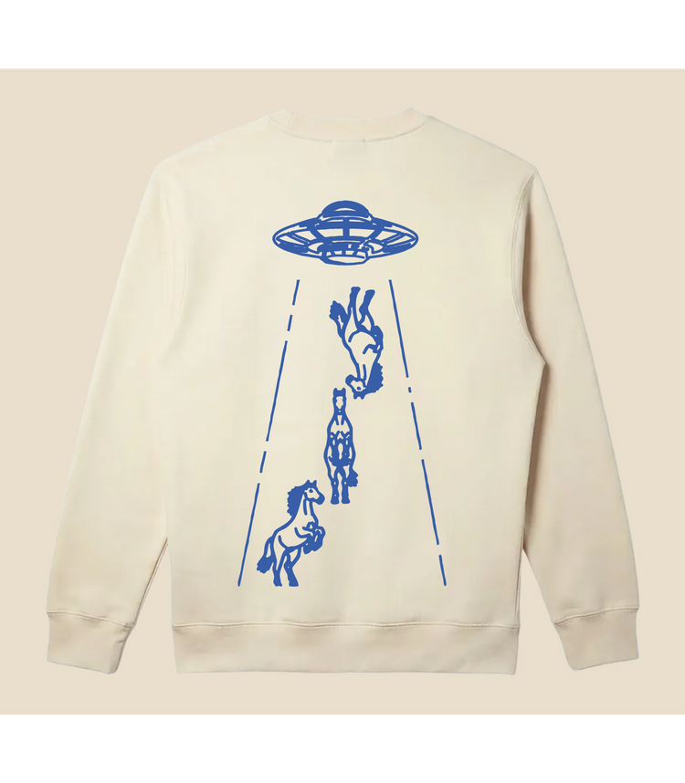 Mystery Lights Crewneck