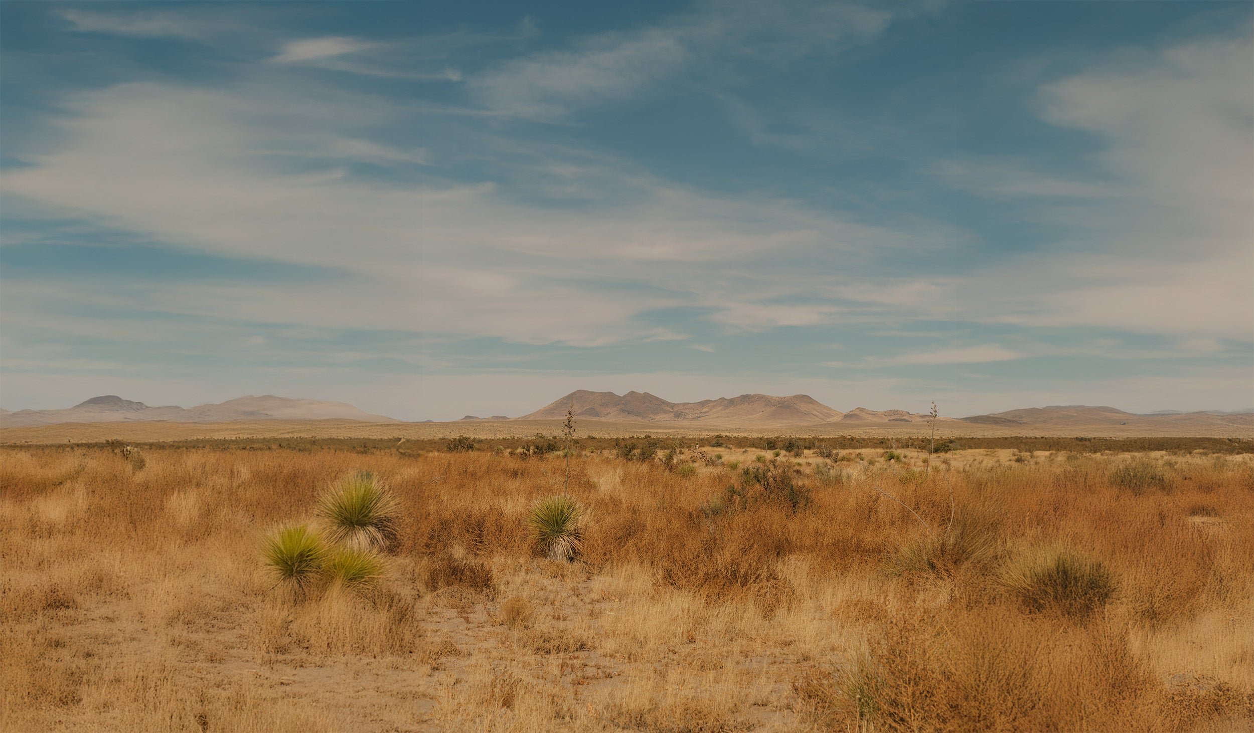 Marfa Country Club — Range Lights evidence field, eastern perimeter